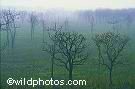 Northeast - India stock photos