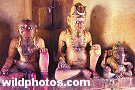 Images open on a new page