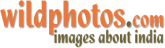 Home of Indian Images